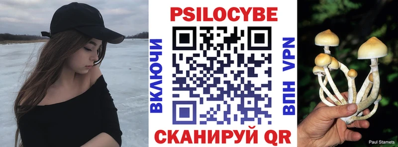 KRAKEN ССЫЛКА  Чернушка  Псилоцибиновые грибы GOLDEN TEACHER 