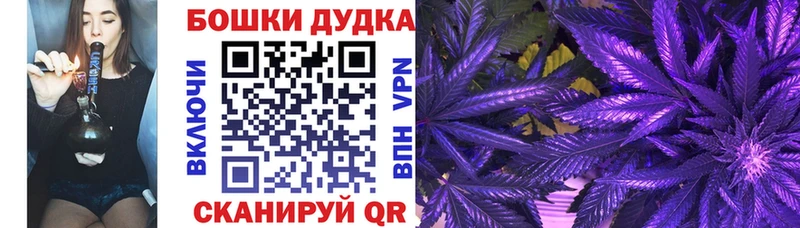 Шишки марихуана White Widow где продают Чернушка